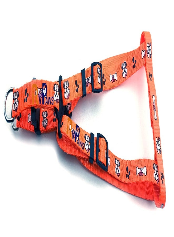 Pups&Pets طقم سرج جرو من النايلون الناعم القابل للتعديل من Pups&Pets، مزين بطبعة عظمة ومخلب ملون، مع مقود بخطاف معدني (برتقالي) - Image 4